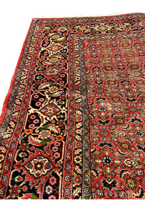 Side view of large Persian Bijar all-over rug laid flat, highlighting floral field pattern and bold contrasting border
