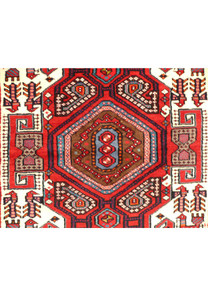 Close-up of the intricate tribal motifs on the Persian Shahsawan rug