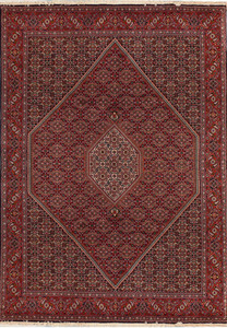 6'5" x 9'8" Persian Bijar Rug