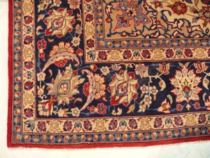 10'2" x 13'7" Traditional Persian Najafabad Rug