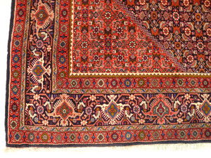8'3 x 11'8 Persian Bijar High-End Rug