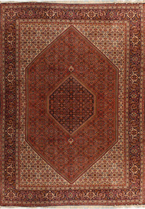 6'5 x 10' Persian Bijar Rug