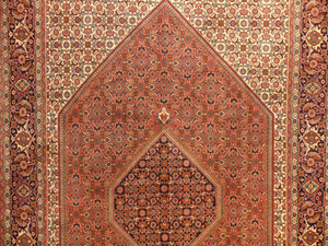 6'5 x 10' Persian Bijar Rug