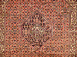 8'3" x 11'6" Persian Bijar Rug