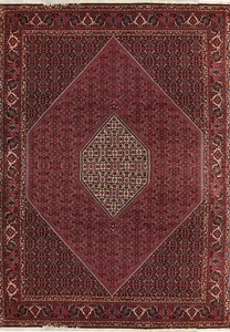 7 x 10'5 Persian Bijar Rug