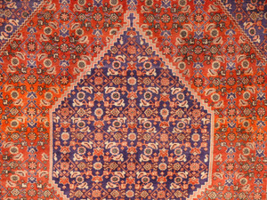 6'8 x 10'2 Persian Bijar Rug