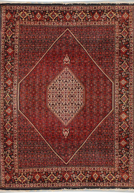 6'6 x 10'1 Persian Bijar Rug