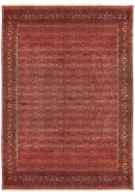 8'2 x 10'4 Persian Bijar All Over Design Rug