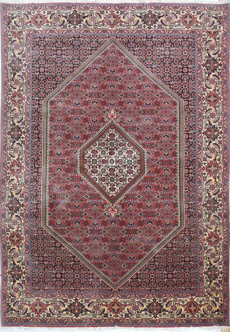 6'6 x 9'4 Persian Bijar Rug
