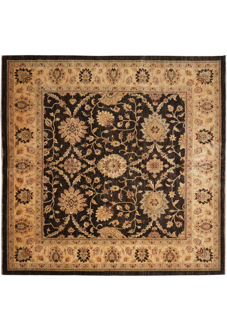 10' x 10' square Chobi Ziegler rug shown flat, dark brown field with wide gold border
