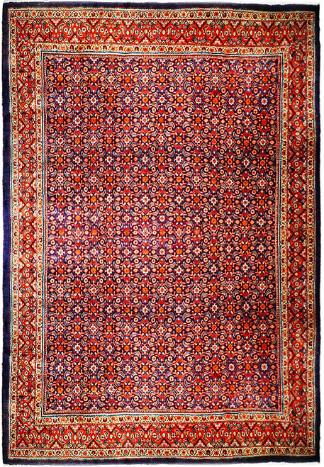 Navy blue Persian Herati rug with tomato red border and repeating fish pattern, full overhead view