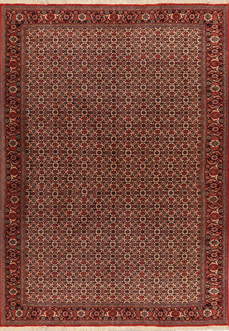 Full view of 6'5 x 9'5 Persian Bijar Rug with all over design