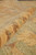 Pile rolled into a ridge, showing depth and sheen of gold and green wool
