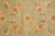 Field detail of beige flower heads with rust centres against softly striated green wool