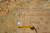 Back corner with tape measure and dealer tag numbered 15425, size noted 16.10 x 19.7