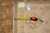 Reverse of the rug with maker's labels reading Pakistan and wool pile, plus a tape measure