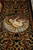 Border roundel showing a haloed infant lying on straw, surrounded by gold scrollwork on black