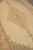 Close view of the scalloped lozenge medallion and its brown vine tracery on beige pile