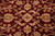 Close-up of ivory palmettes, sage green leaves and golden blossoms on the ruby red wool field