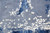 Contemporary abstract design detail with cream fragments and cobalt blue shading on gray ground