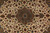 Medallion detail with birds, small animals and scrolling vines across the cream wool ground