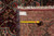 Back of the rug with measuring tape and inventory tag confirming the 11'5" x 16' size