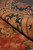 Rolled edge showing thick lustrous wool pile depth and black serrated leaf border detail