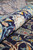 Rolled edge close-up showing plush wool pile depth, navy ground and cream floral drawing