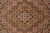 Macro detail of the red outlined medallion with olive green lobes and ivory center