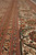 Border detail with palmettes, vines and guard stripes in rust, ivory and olive green