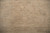 Detail of the subtle all-over pattern with faint leaf and vine drawing in neutrals