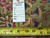 Reverse side tag reading Rug No PIX-12429, size 13.4 x 13.10, beside a measuring tape