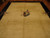 Large 10x14 Deco rug photographed on parquet floor, showing open golden field and dark border