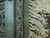 Ruler against the back of the rug showing fine knot rows, cotton warps and ivory fringe