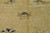 Close-up of soft wool pile showing an ivory lotus motif and faint storage fold line