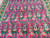 Detailed paisley motifs in navy, teal and peach on vivid rose red hand-knotted wool