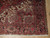 Corner detail showing ivory spandrel hooks, dark navy rosette border and dense wool pile