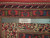 Ruler across border showing hand-knotted wool pile beside an Authentic Handmade tag and knot detail