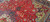 Angled floor view of red field with all-over floral vines, palmettes and golden corner spandrel