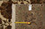 Tape measure and genuine hand woven Oriental rug tag resting on the olive border