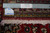 Back of the 10x13 Persian rug with ruler, authentic handmade label and original inventory tag
