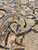 Pile close-up highlighting soft gold wool, ink black vine drawing and tight knot rows