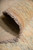 Rolled edge close-up showing quarter inch wool pile, selvage and soft neutral pastel border colors