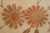 Two terracotta daisies with jagged petals woven in lustrous silk on cream wool background