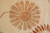 Large peach and camel daisy bloom showing silk pile luster and fine graphic drawing