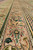 Macro of border guard stripes, cream chain motifs and green leaf scrolls in wool pile