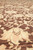 Floor level view of blossoms and leafy vines rendered in beige and peach on brown