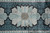 Overhead view of a large rosette medallion in ivory, soft blue and beige on black