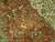 Detail of mounted hunter, gazelle and peacocks woven in wool across the terracotta red field