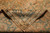 Folded corner showing hand-knotted wool back, fine knot rows and original teal and copper colors